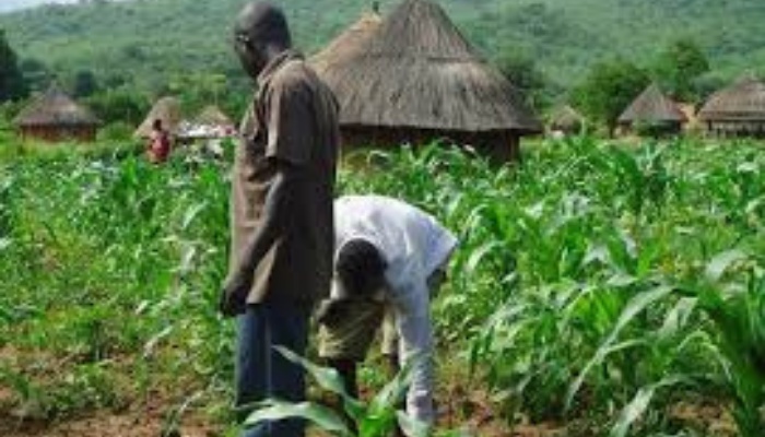 The N200 Billion Commercial Agriculture Credit Scheme