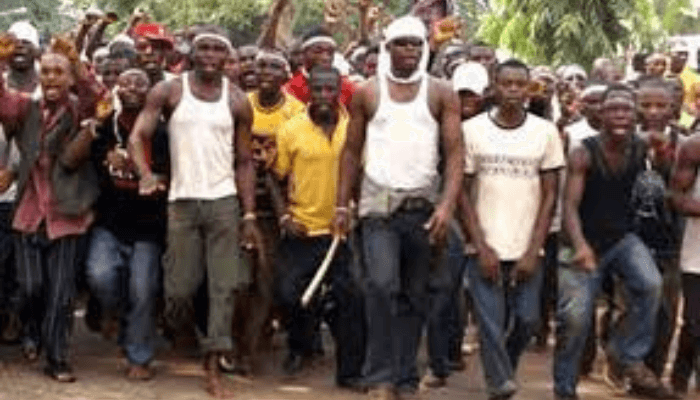 JTF raids suspected Boko Haram’s home, kill 14