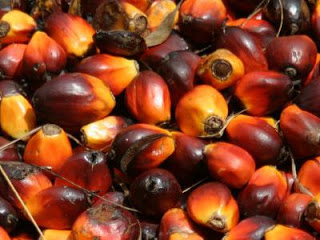 palmoil