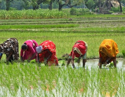 women-farmers