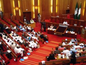 Nigeria-Senate