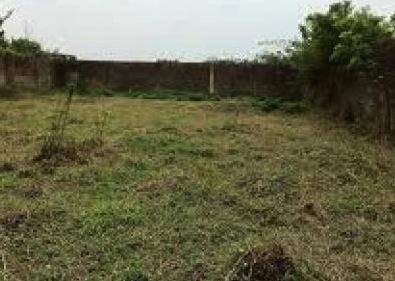 land