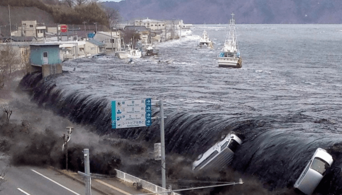 The year of resilience