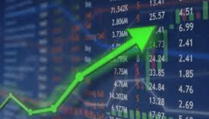 Rokana post loss to end 2012 financial year
