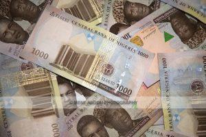 1000 naira bills (Nigerian currency)