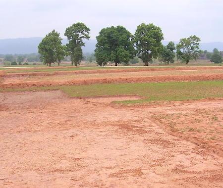land