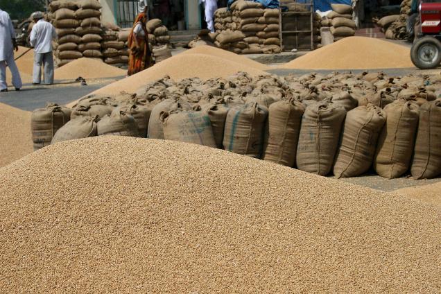food-processing
