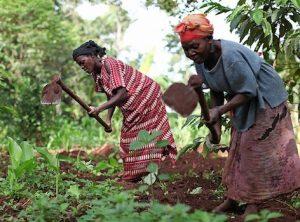 women-farmers