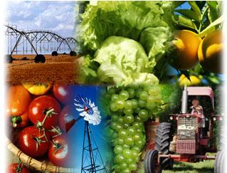 agric-collage