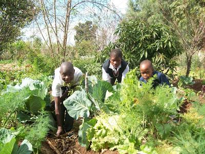 Food-Africa