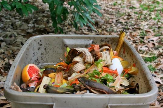 food wastage