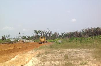 land