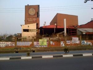 Golden Guinea Breweries