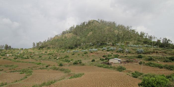 climate-action
