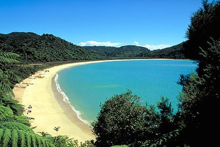 New-Zealand