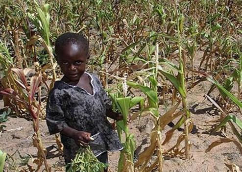 zimbabwe-drought
