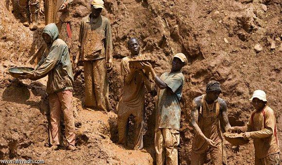 gold-miners