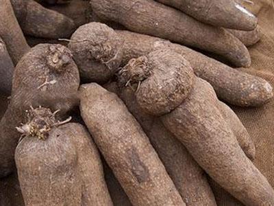 yam
