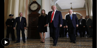 Trump suit