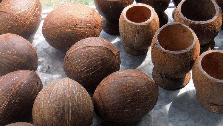 coconuts-in-badagry-min