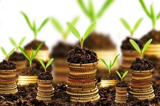 investments