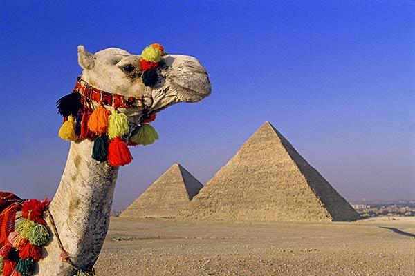 great_pyramid_with_camel_600