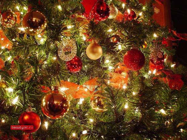 xmas
