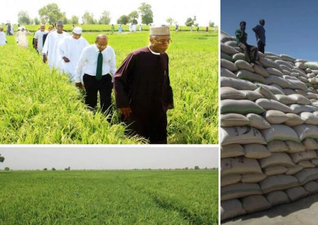 cbn-anchor-borrowers-scheme