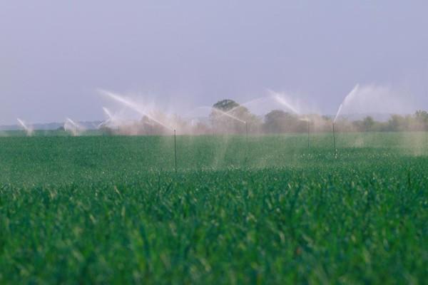 irrigation2-600×400
