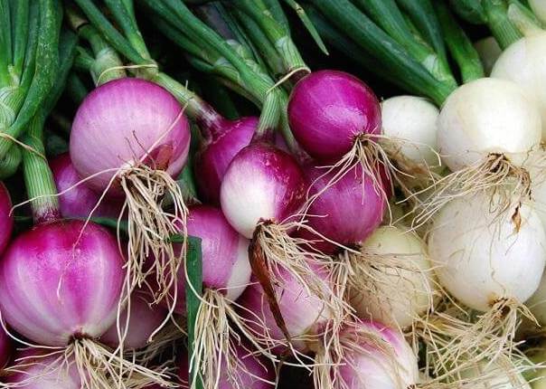 onions