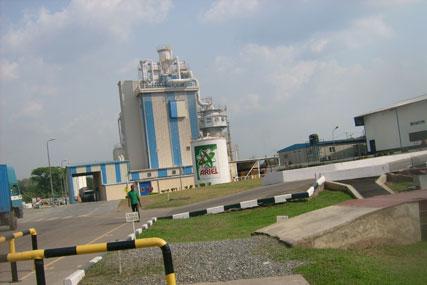 PGhealthcare plant
