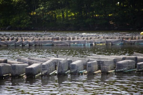 aquapenob080114_-005-600×400
