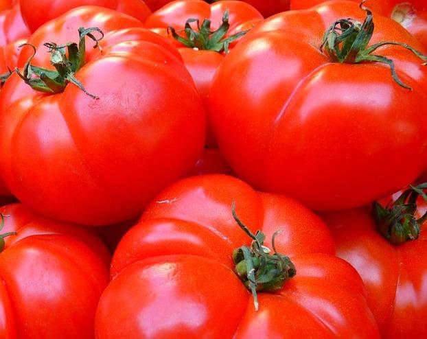 tomatoes