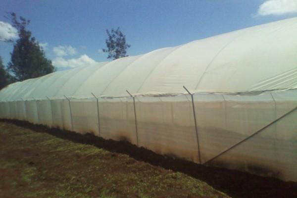Greenhouse project