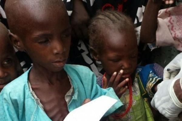 FAO tackles malnutrition in Borno, caters for 4,800 malnourished children