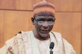 Adamu adamu