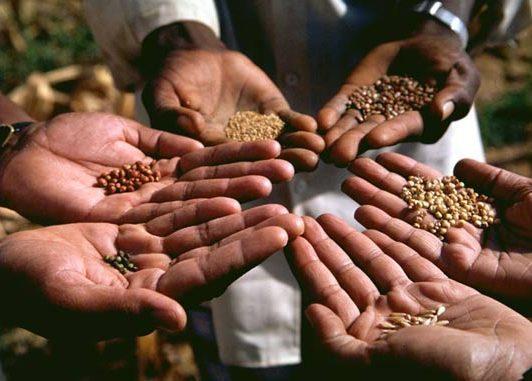 feeding world