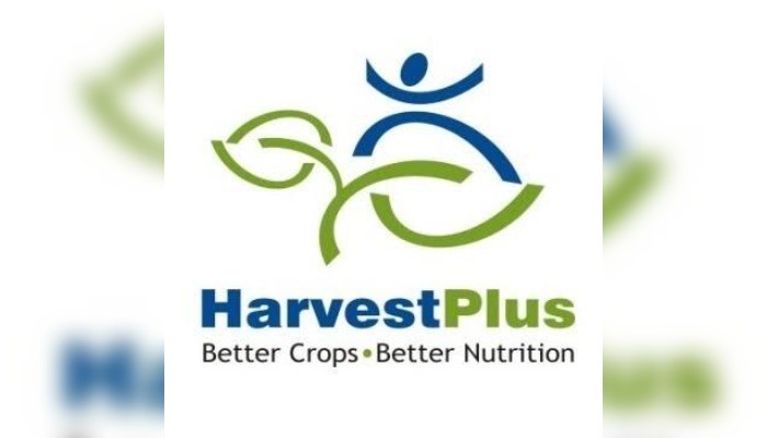Nigeria loses over N450bn to micro-nutrient deficiency – Harvestplus