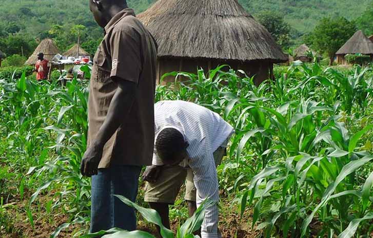 Farmers