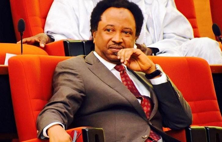 Shehu-Sani