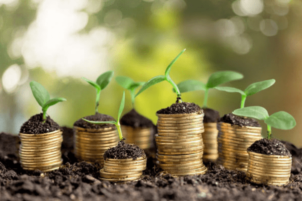 Nigerians’ adoption of positive attitude to environment will reduce pressure on government finances – Expert