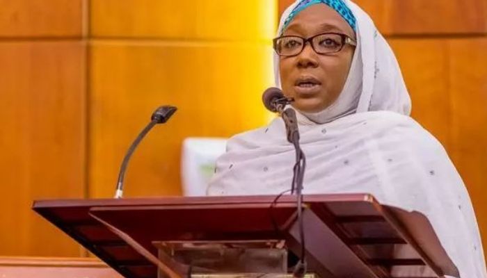 Minster wants more donor support for Nigeria-Niger Joint Commission