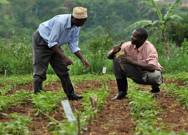 farmers