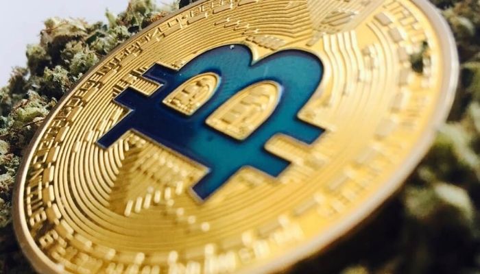 ‘I need a selling season’ — bitcoin falls below $4,000
