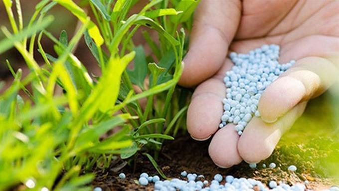 Fertiliser-3