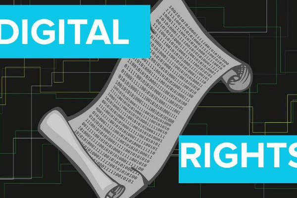 NGO seeks quicker passage of ‘digital rights bills’ to strengthen corruption fight