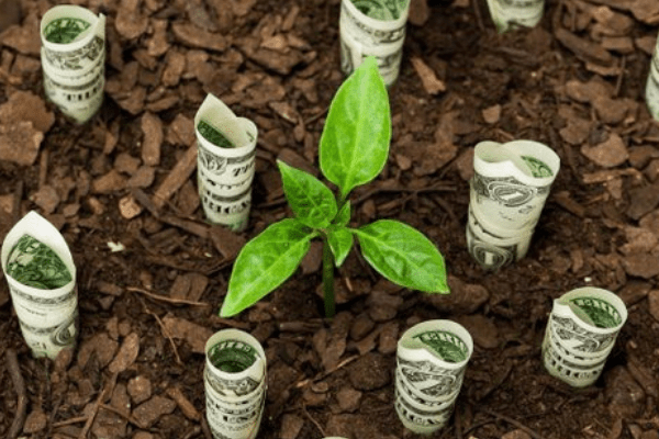 Analysts pessimistic on increased dividend pay-out by insurance companies
