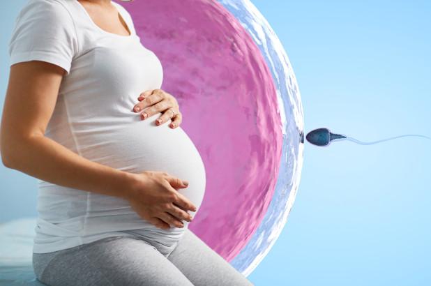 IVF