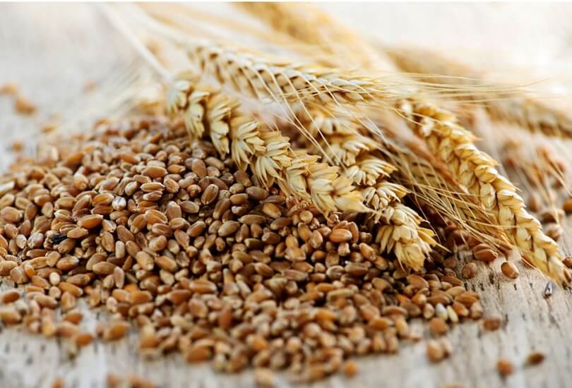fiber-supplements