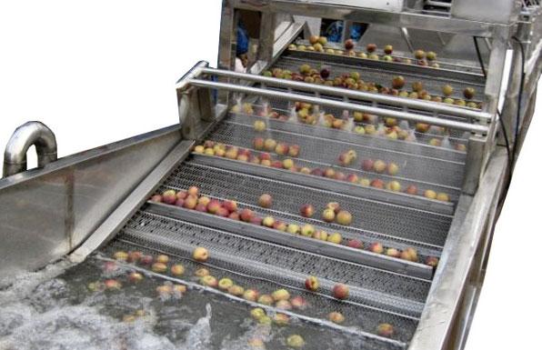 fruit washer